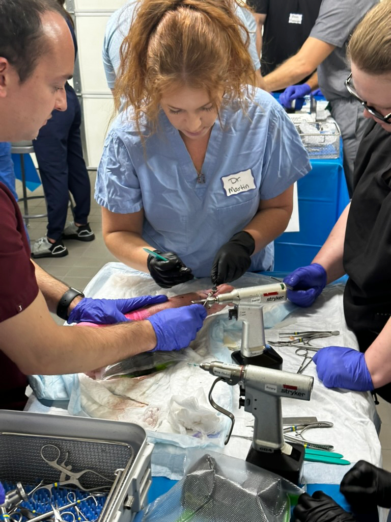 0AD81CF4-B97B-4AB4-A246-449EFF205472_1_105_c