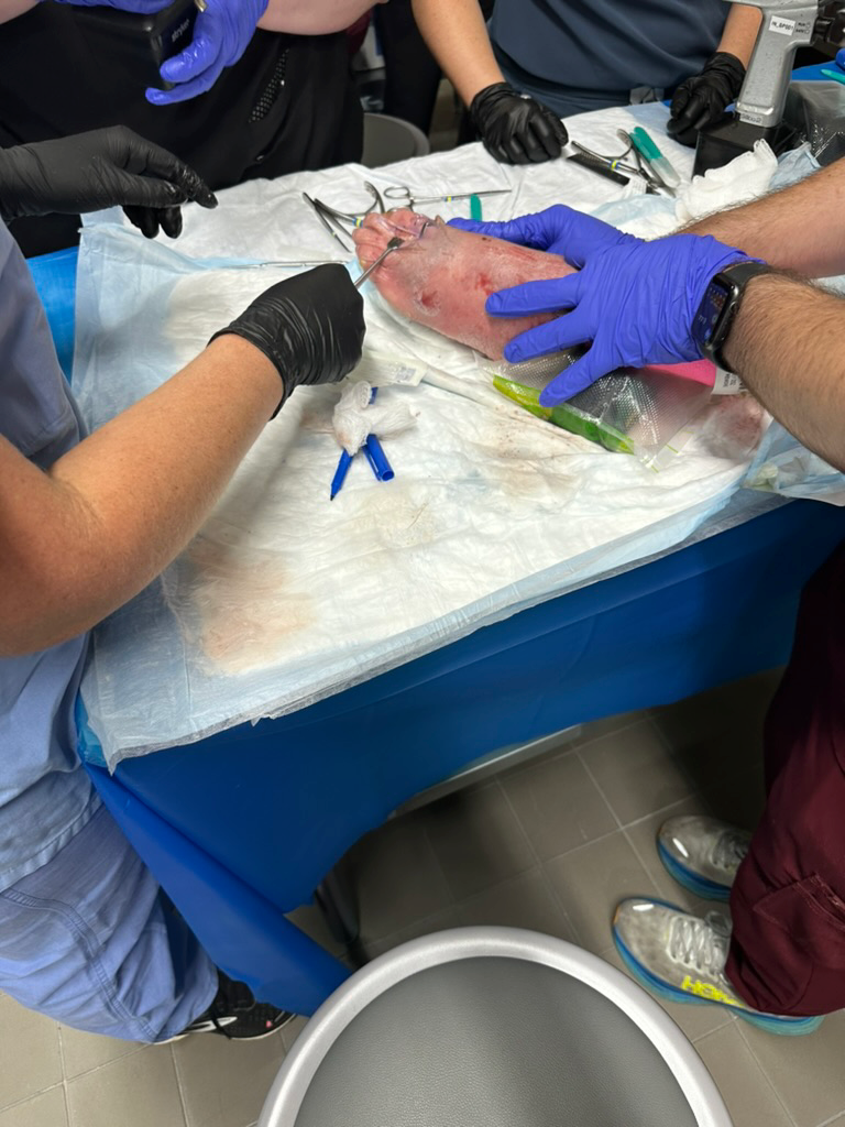 23960150-FF52-4C25-BFD4-7984E7302CCB_1_105_c