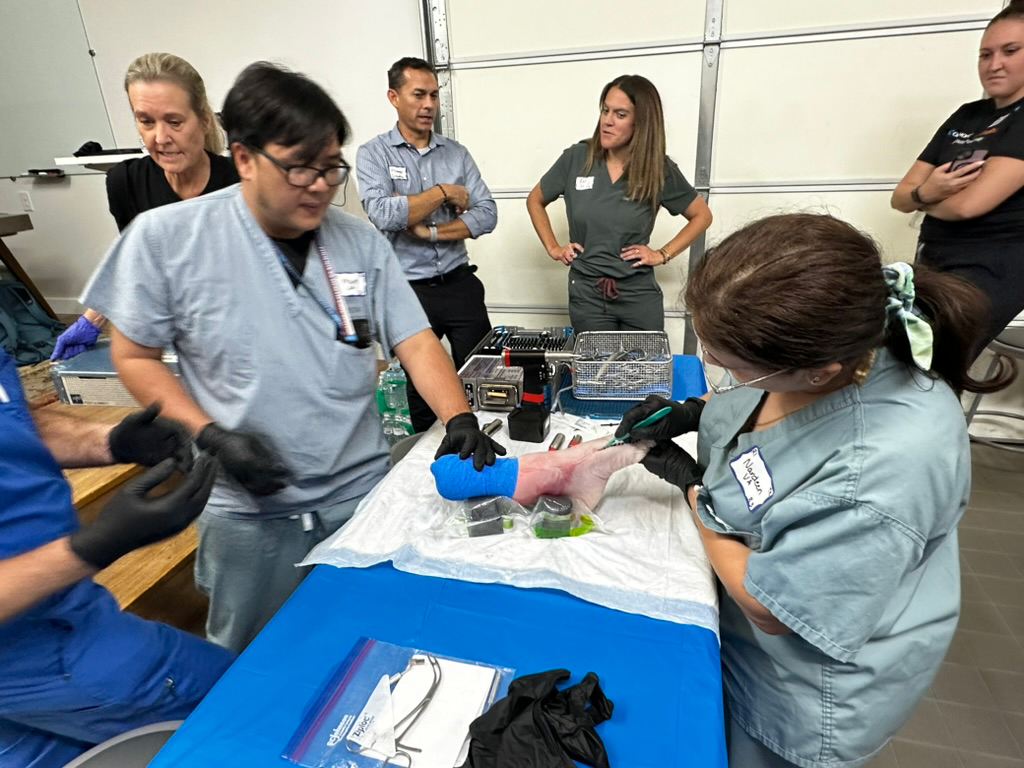 A3591567-C252-4E79-8E5B-A202AB1BC9FE_1_105_c