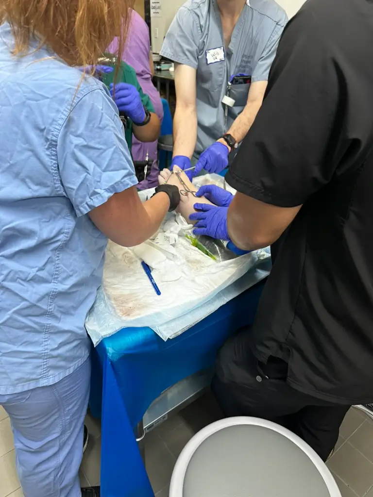 B0D68184-2ECA-41F5-A9AE-E153F87906B8_1_105_c