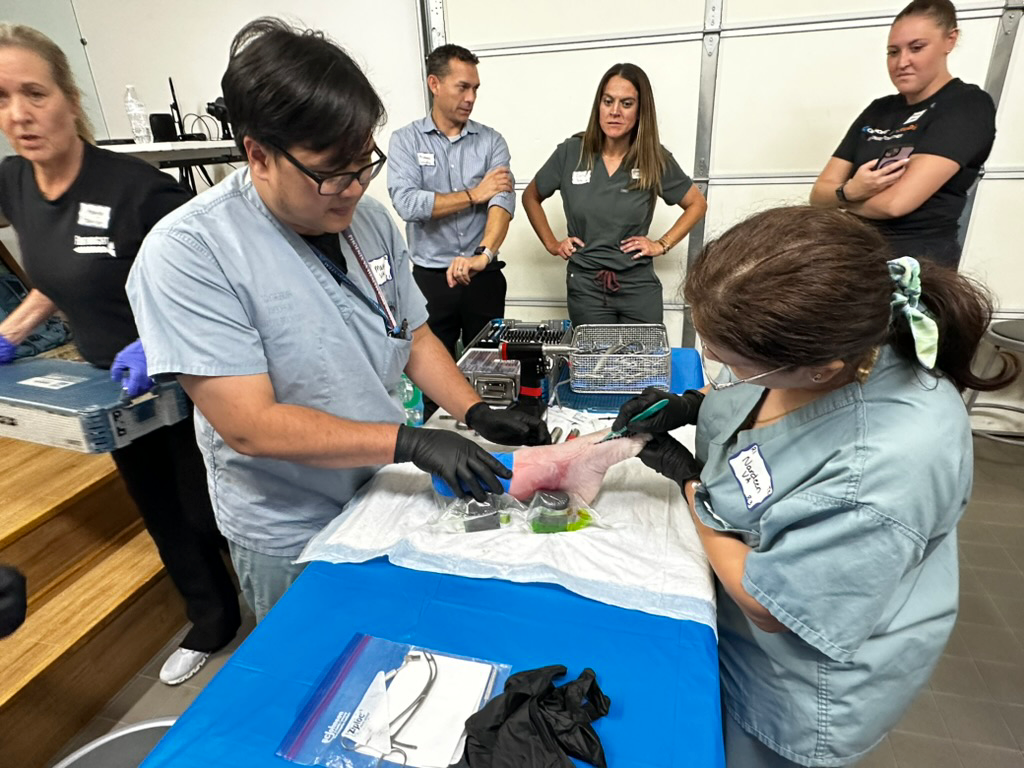 C20B25E8-E088-40ED-AB13-F978B021791C_1_105_c