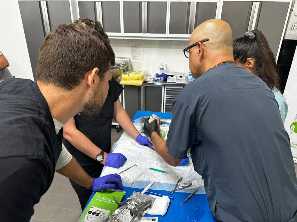 EE47DF72-BF89-4744-B4B8-A1B9ABD253A7_1_105_c